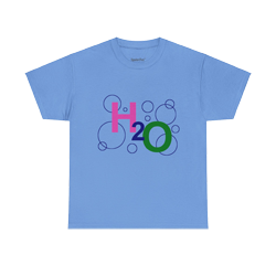 H2O TEE